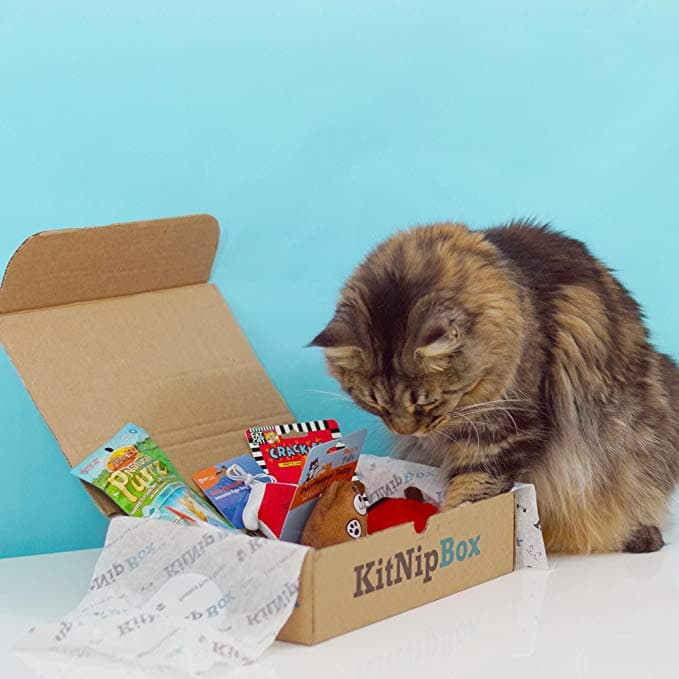 KitNipBox 50 Off Cat Subscription Box of Cat Toys, Treats and