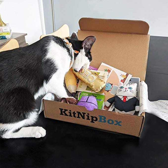 KitNipBox 50 Off Cat Subscription Box of Cat Toys, Treats and