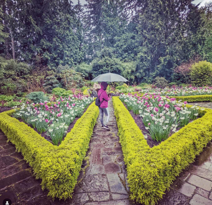 Gardens in Seattle and Tacoma