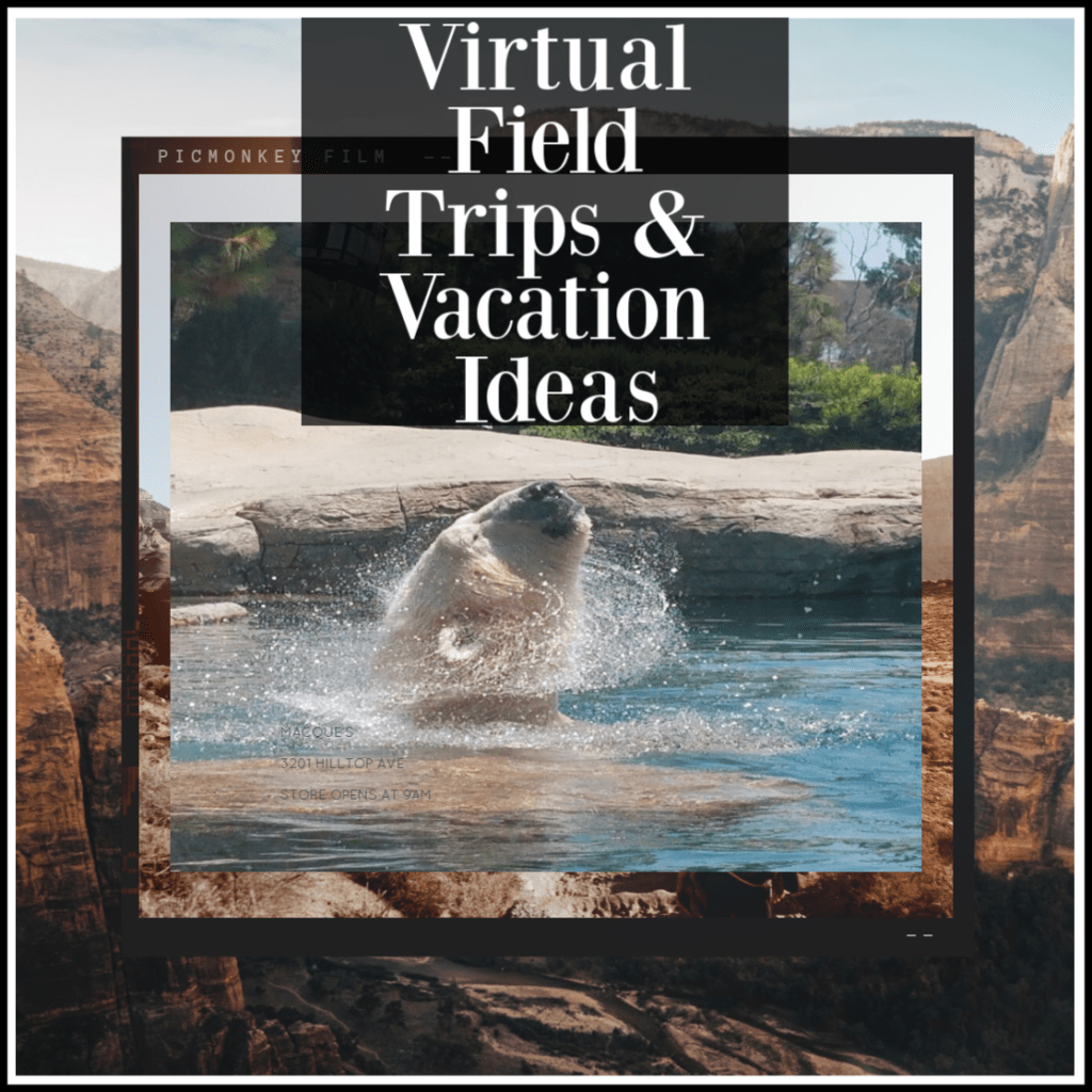 Virtual Field Trips & Virtual Vacations You Can Take With The Kids From Home!