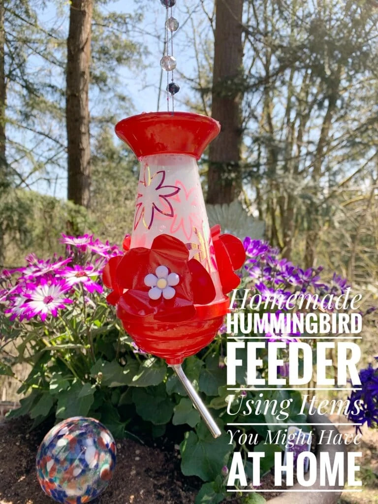 Homemade Hummingbird Feeder (With Items You May Have At Home)!