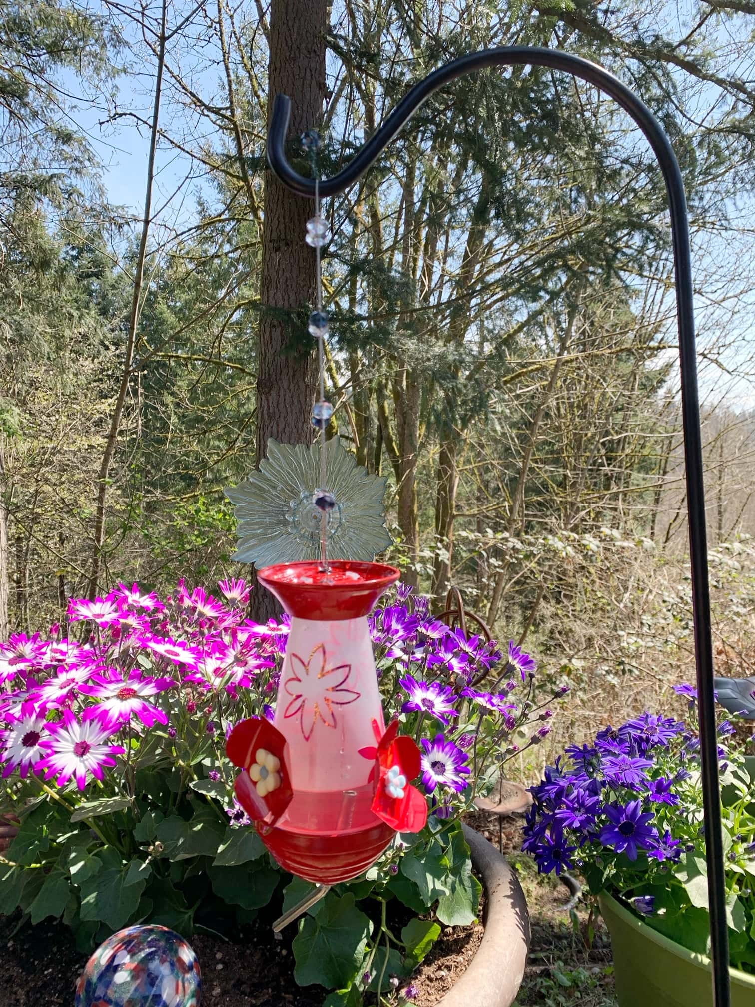 Homemade Hummingbird Feeder (With Items You May Have At Home