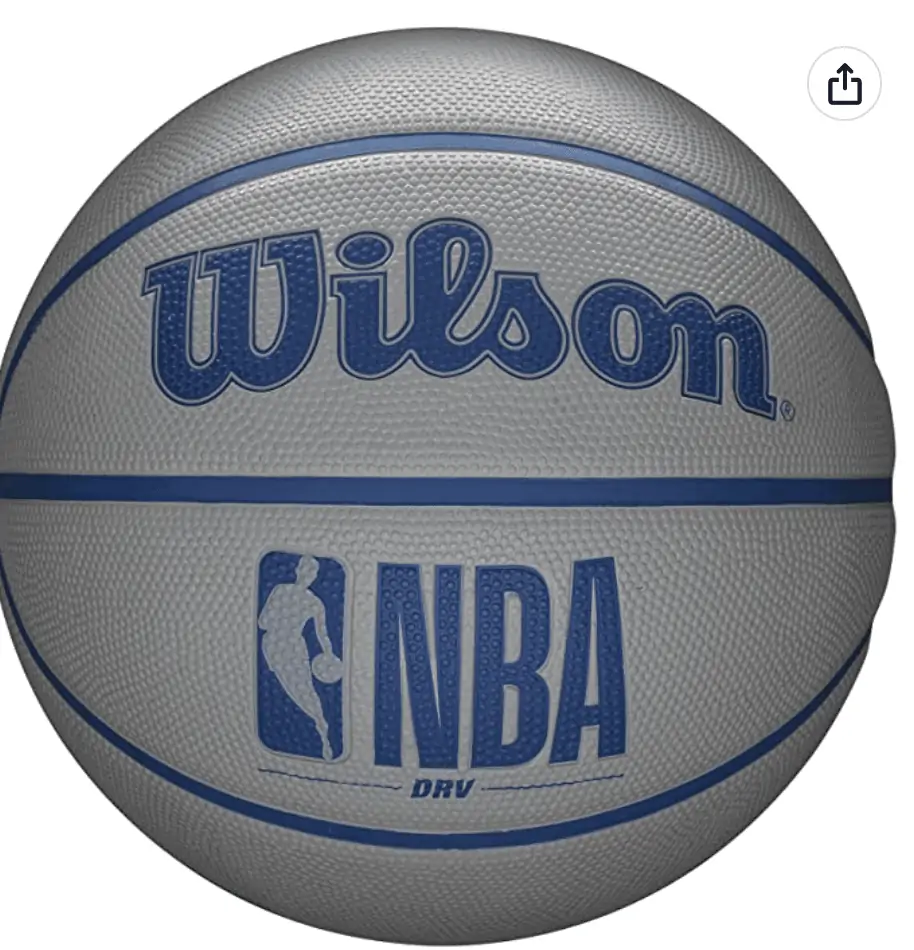 Wilson Outdoor Basketball