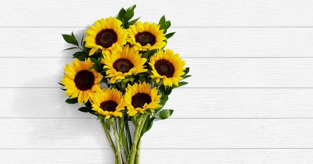 Sned Sunflowers 