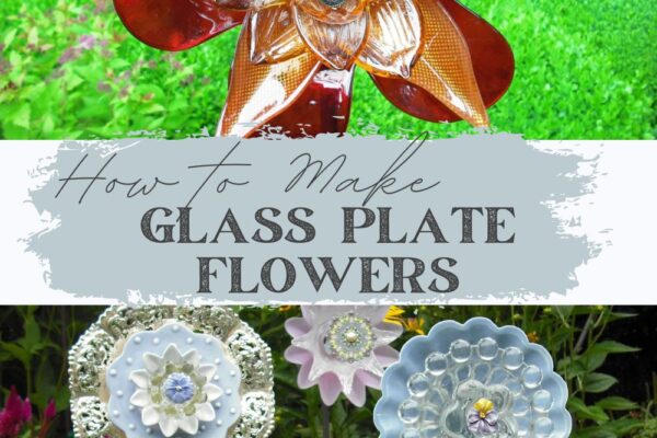 Glass Plate Flowers