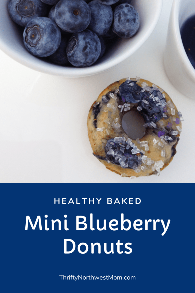 Mini Baked Blueberry Cake Donut Recipe (Baked not Fried)!