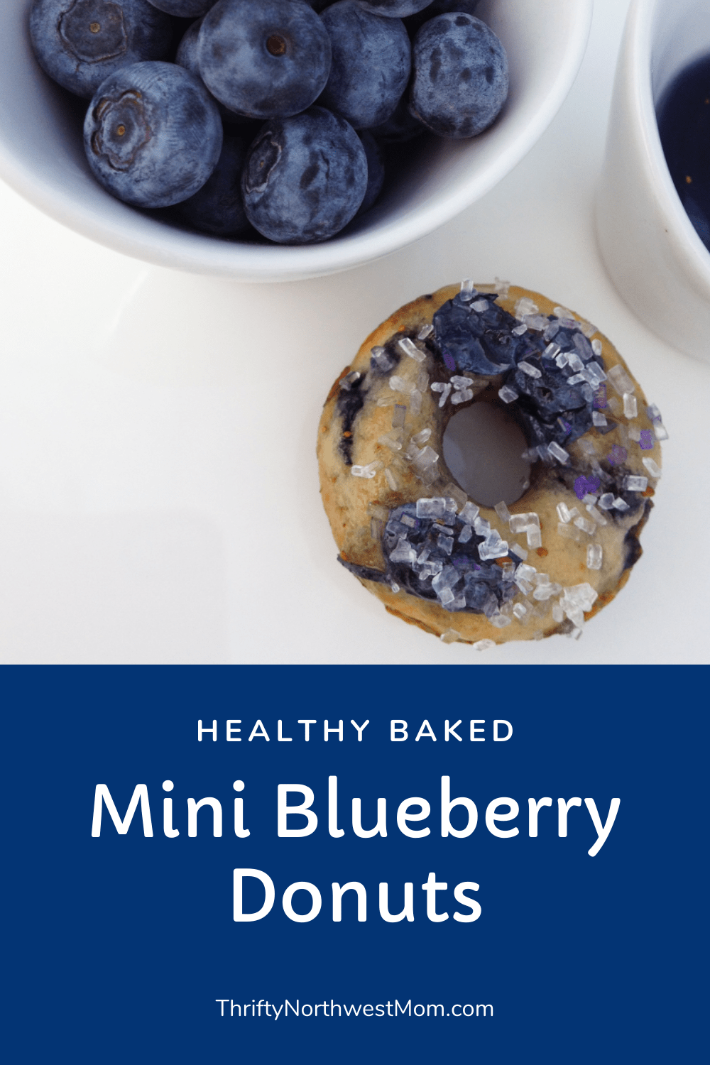 Mini Blueberry Donuts Baked not Fried