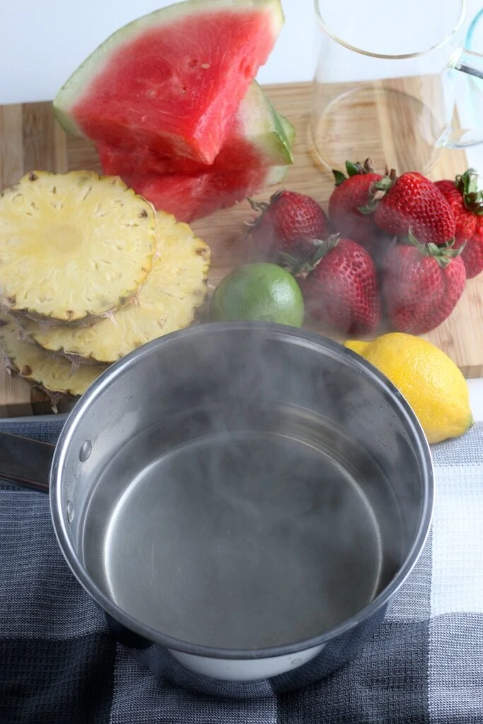 Ingredients for Watermelon Sorbet & making it