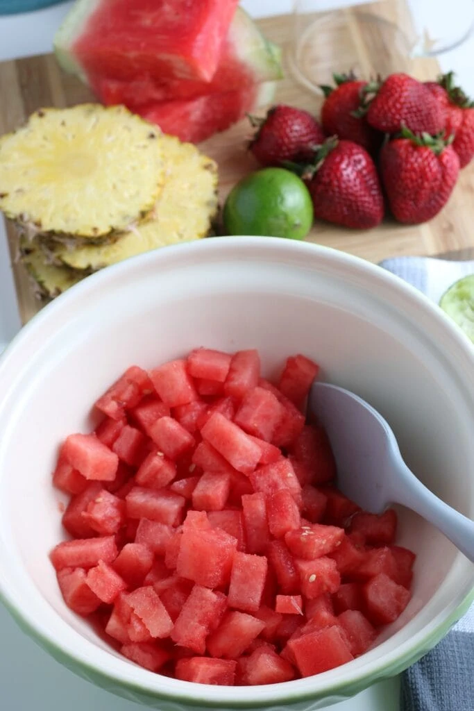 Making Watermelon Sorbet