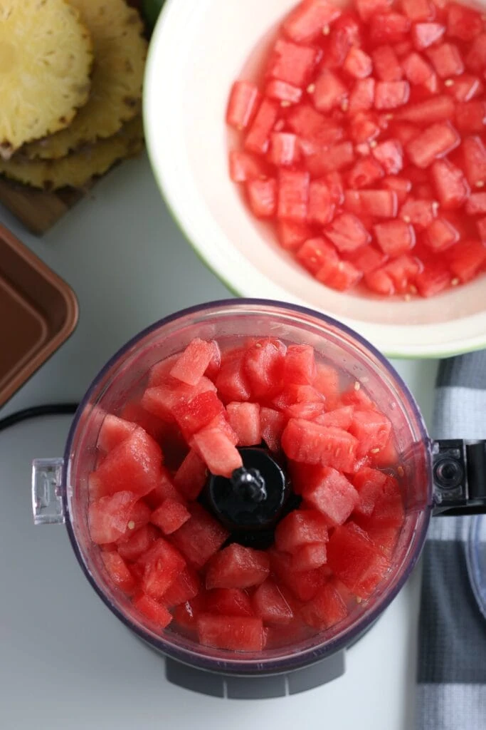 Blend Watermelon Sorbet