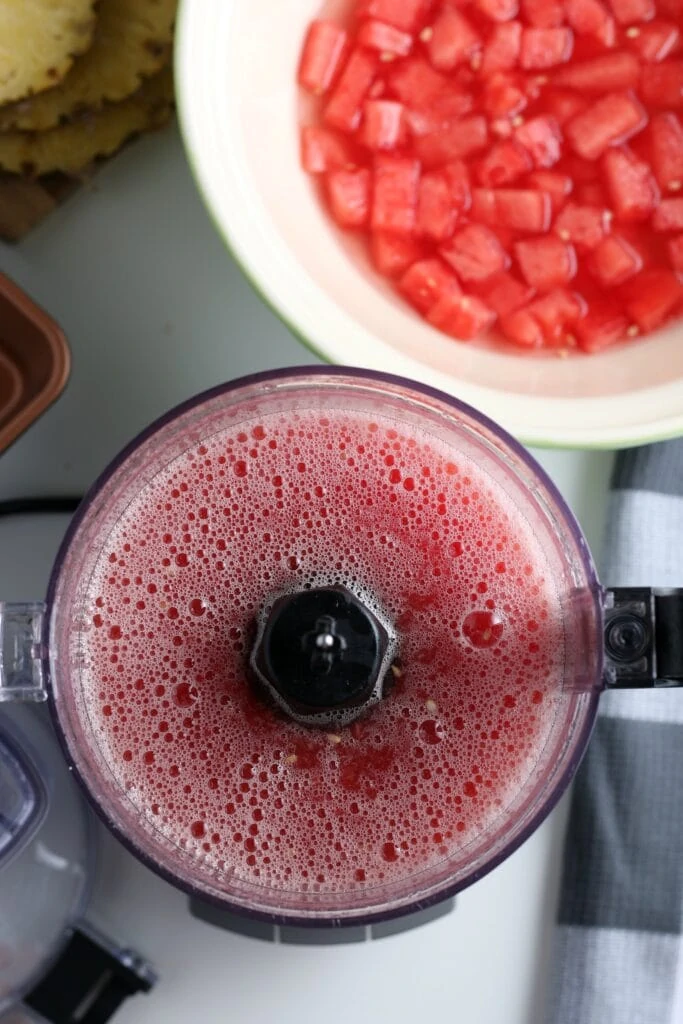 Puree Watermelon Sorbet