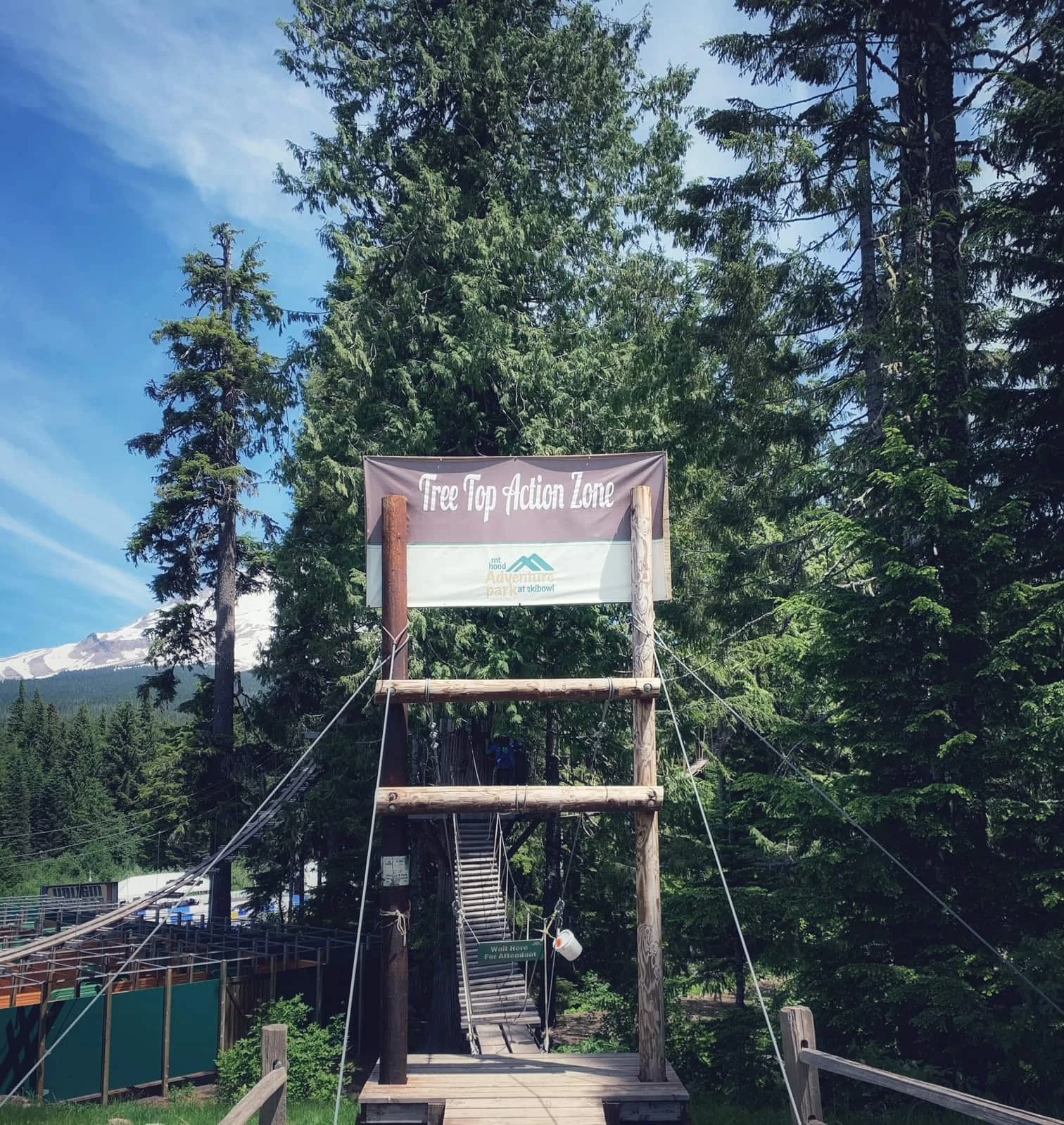 Tree top arial park at Mt. Hood Ski Bowl