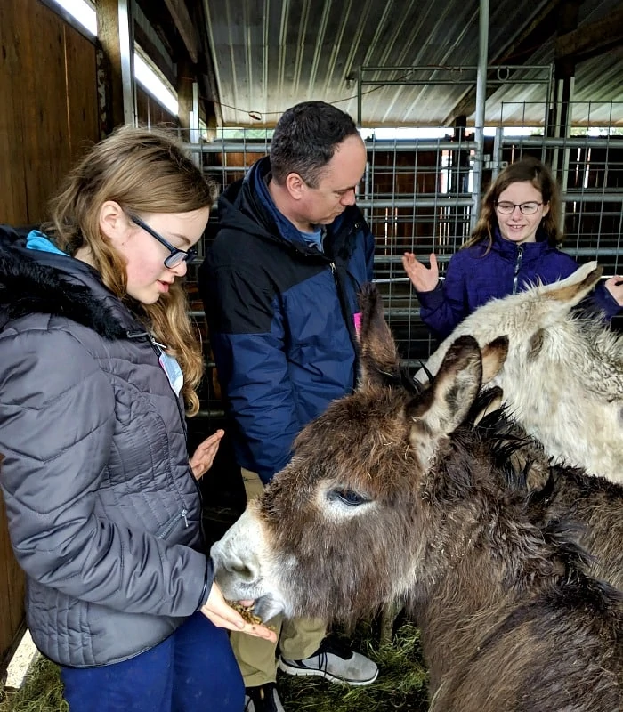 Seven Stars Alpaca Farm Ranch Tour
