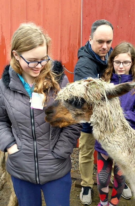 Seven Stars Alpaca Farm Tour