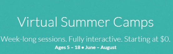 virtual summer camps banner