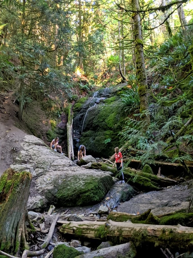 Coal Creek Waterfall