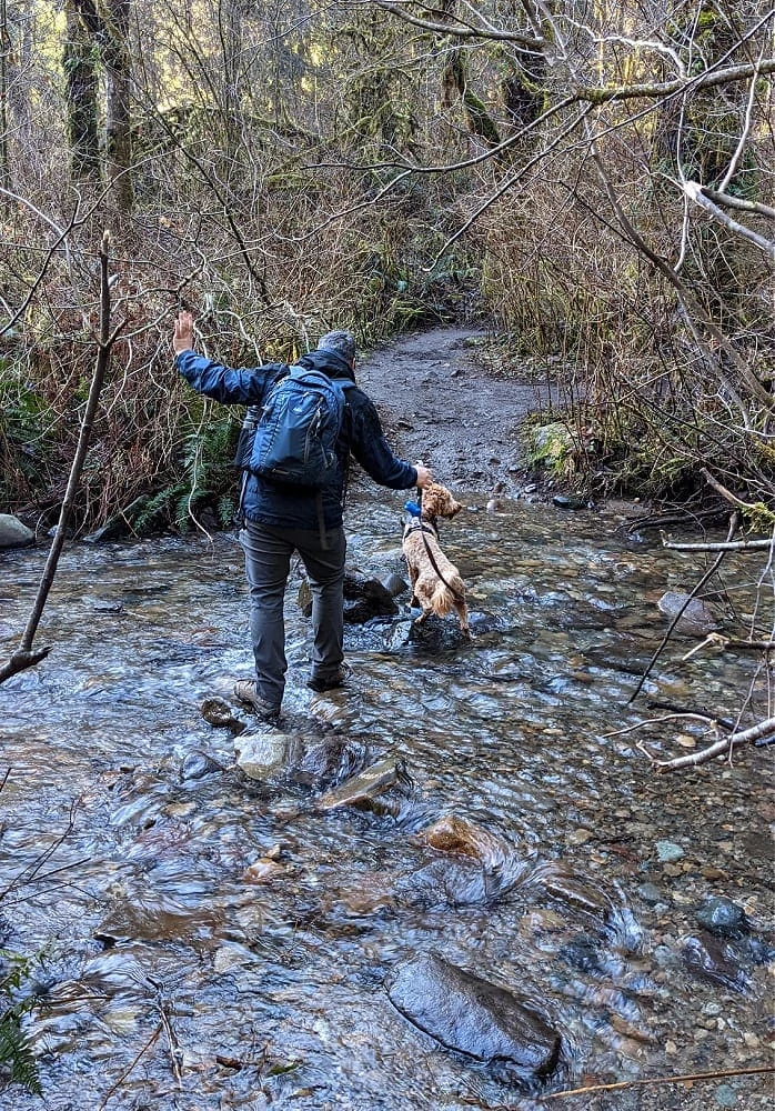 Mud at Cherry Creek Falls