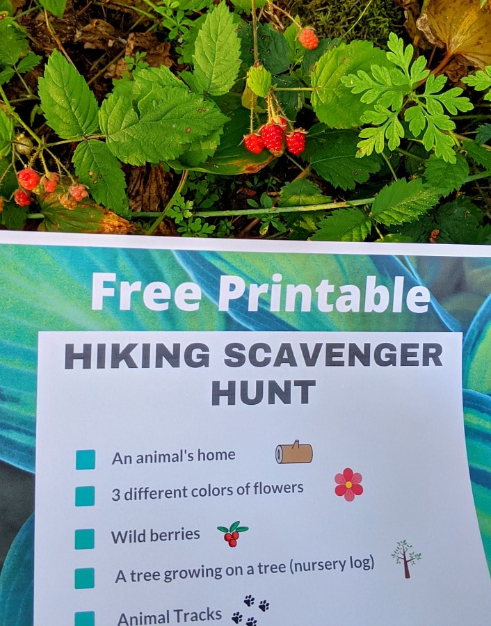 Free Printable nature Scavenger Hunt for kids