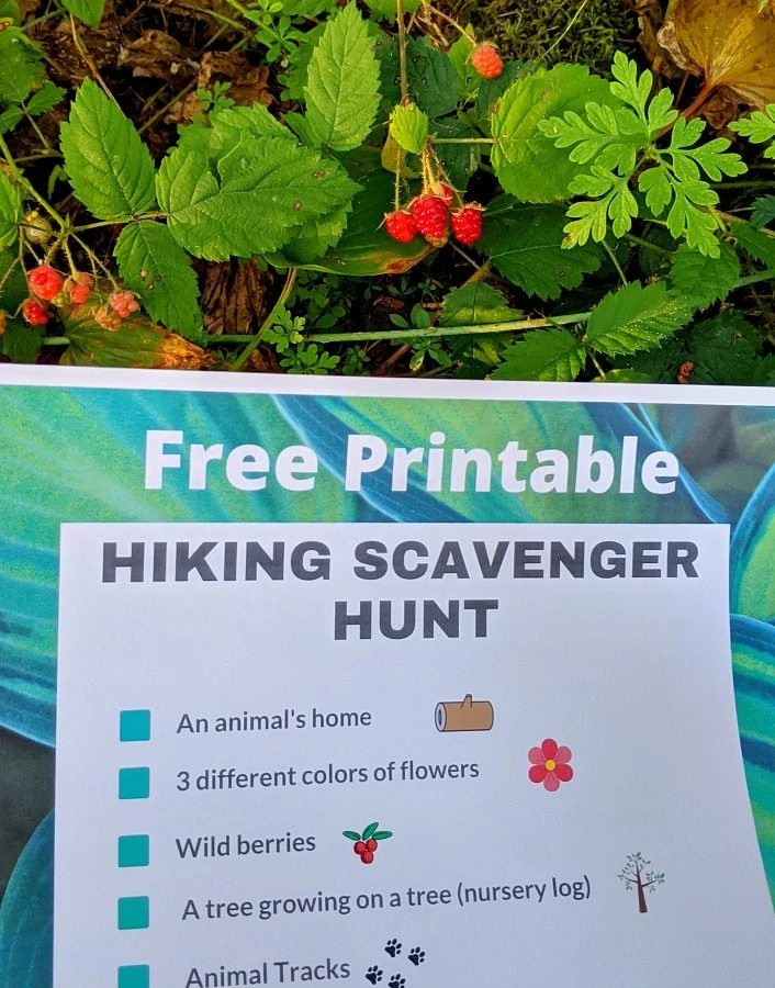 Free Printable nature Scavenger Hunt for kids