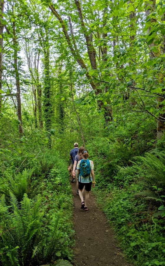 Hiking the Franklin Ghost Town Trail