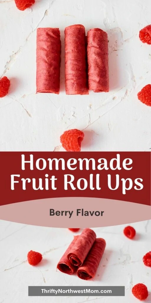 Homemade Fruit Rollups - Berry Version