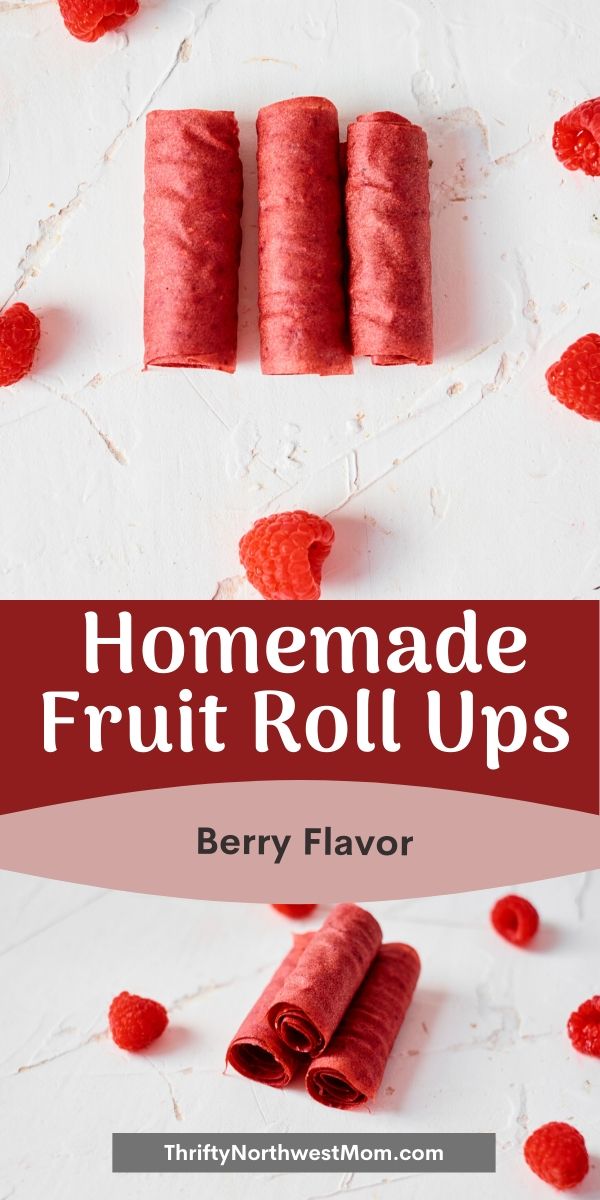 Homemade Fruit Roll Ups – Berry Version!