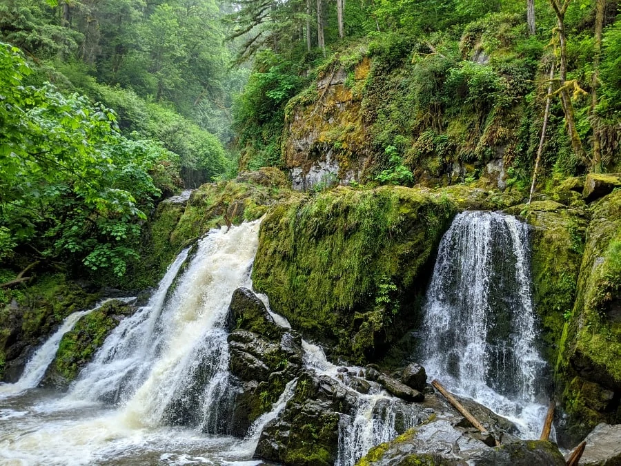 Lower Falls of Little Mashel Falls