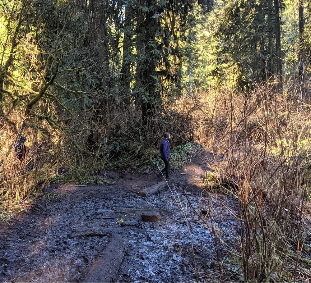 Mud at Cherry Creek Falls