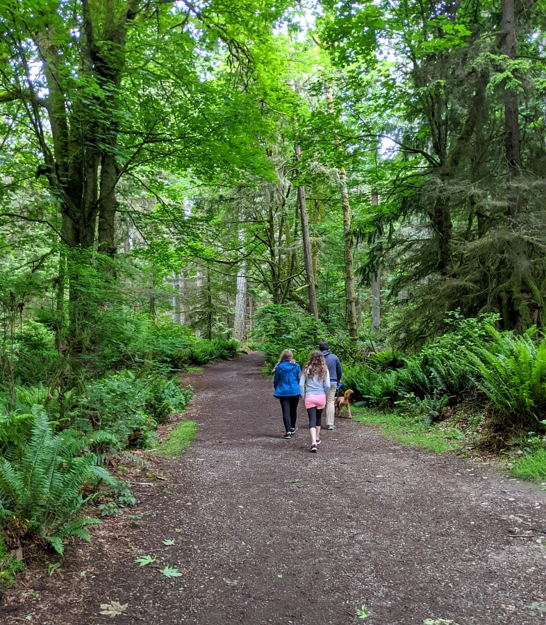 Point Defiance Park Trails