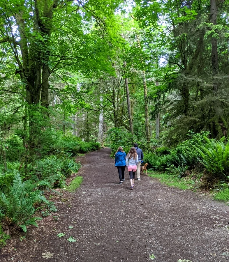 Point Defiance Park Trails