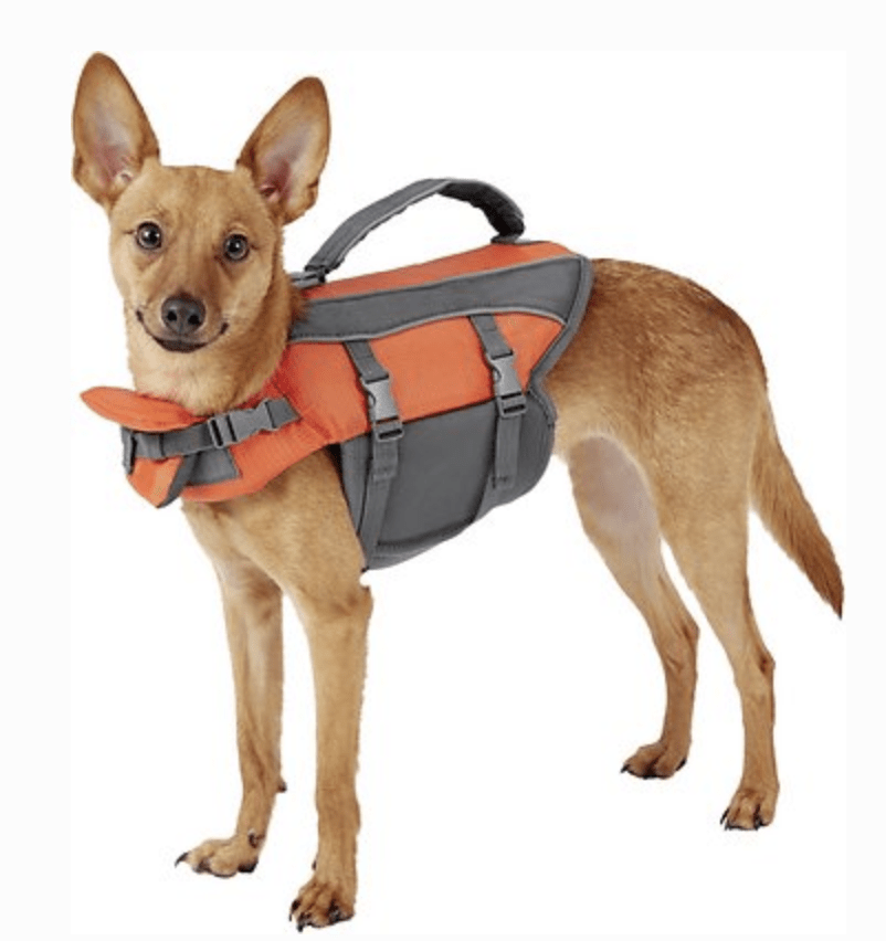 Frisco Dog Life Jacket