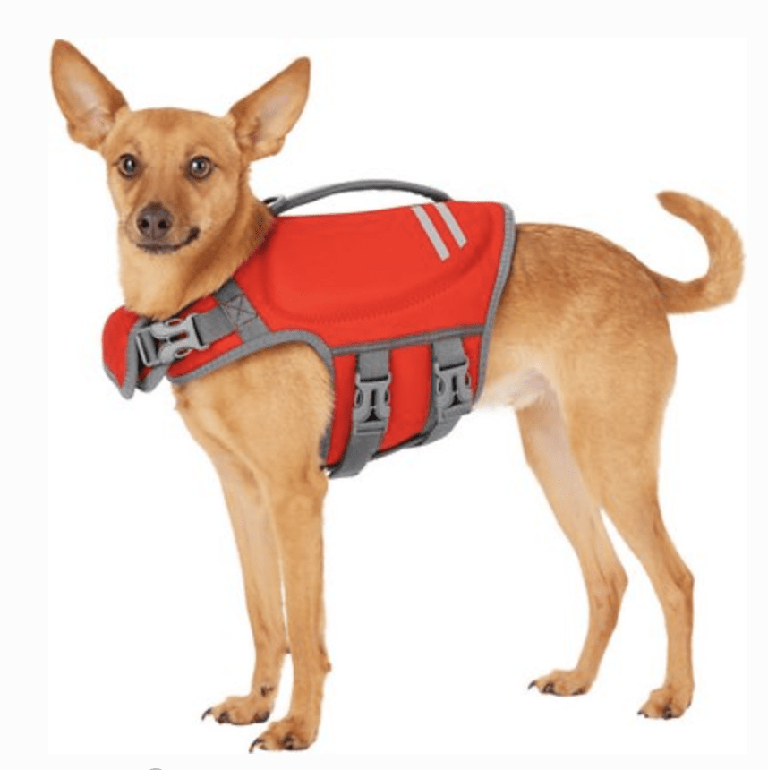 Frisco Neoprene Dog Life Jacket