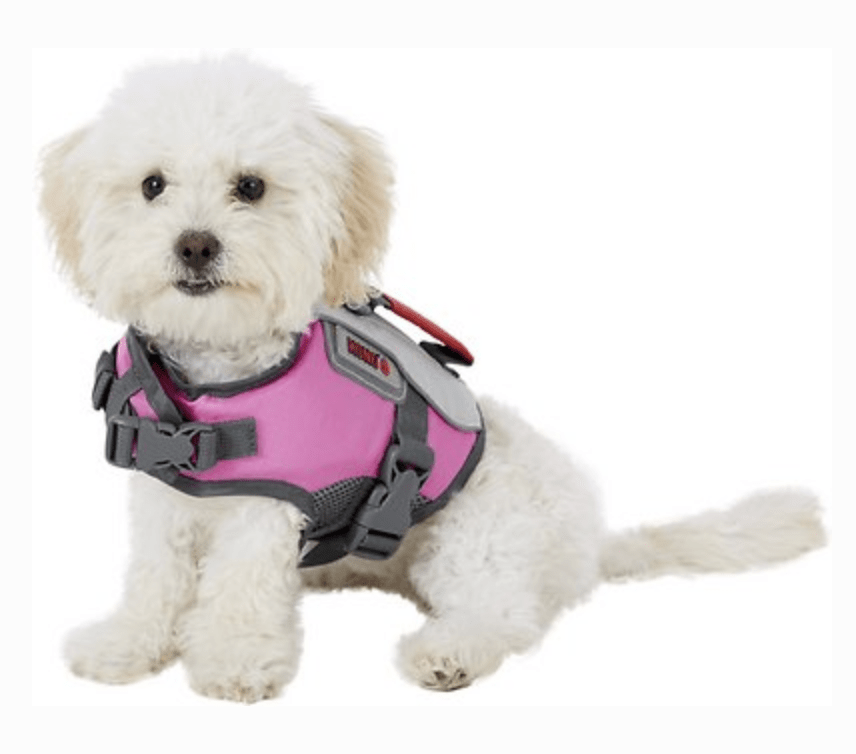 Kong Sport Dog Flotation Vest