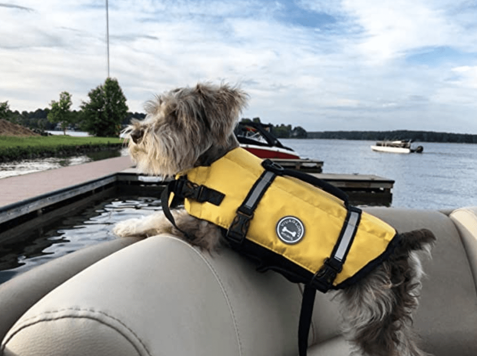 Dog Life Jackets Affordable & Highly Rated Thrifty NW Mom
