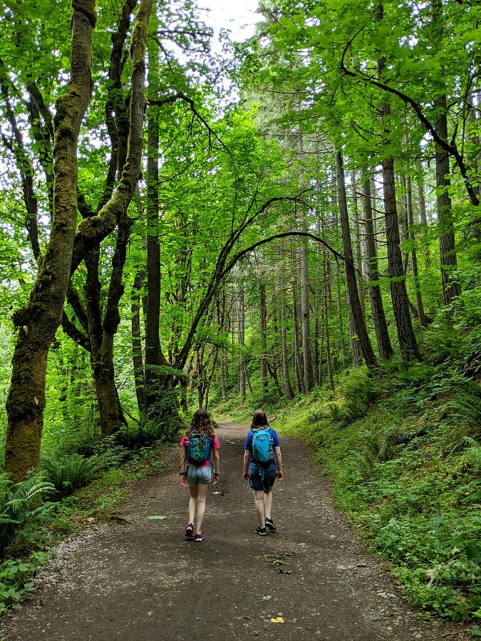 Sequalitchew Trail in the Forest