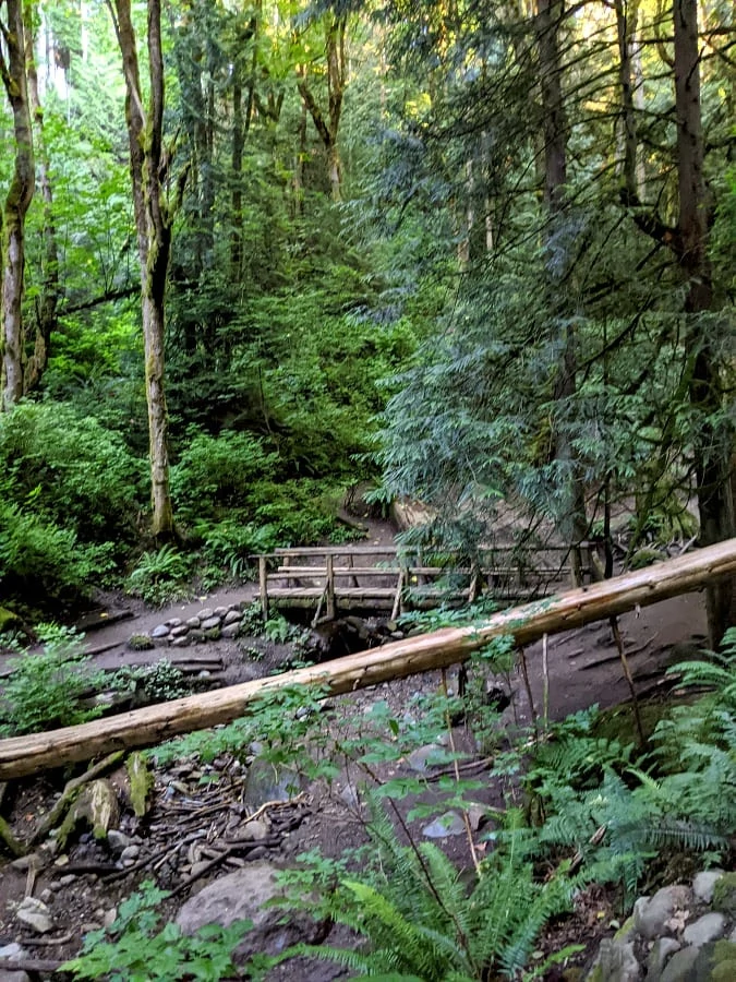 Trail at Coal Creek Waterfall
