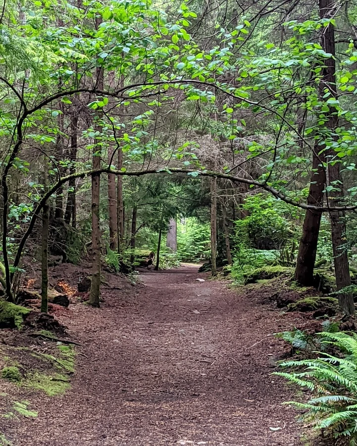 Trails at Point Defiance Park