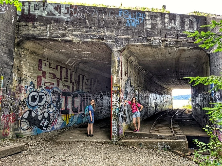 Train Tracks at Sequalitchew Trail