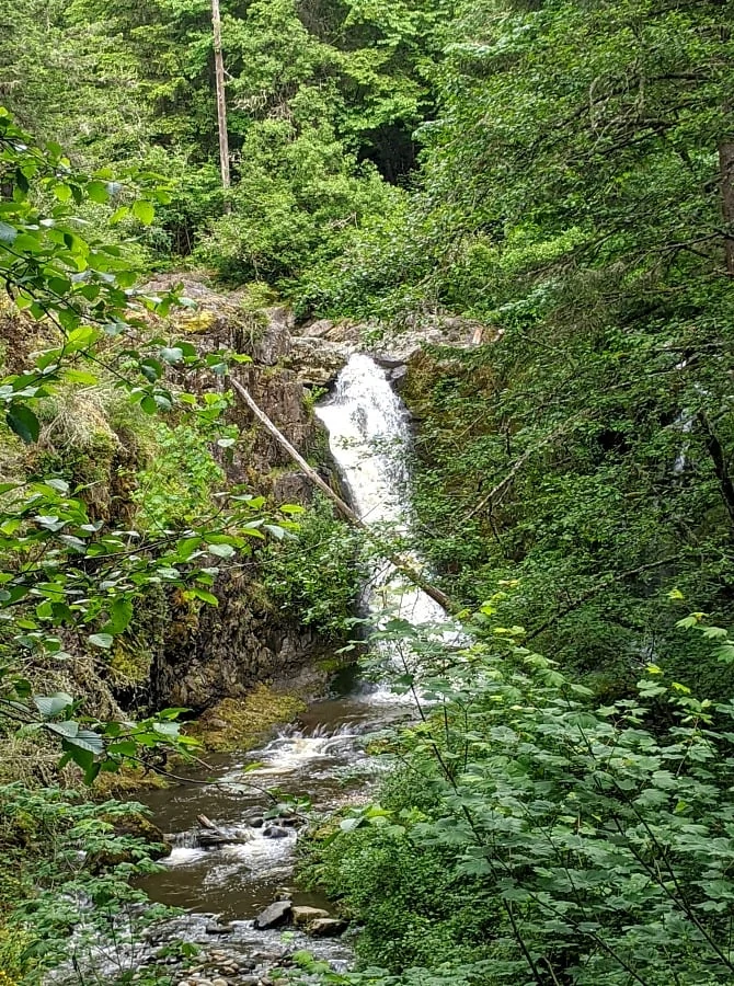 Upper Falls of Little Mashel Falls