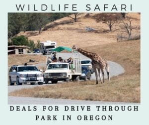 Wildlife Safari Oregon - Discounts Tickets! Drive Through Zoo Park