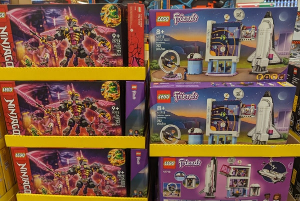 Lego Friends or Ninjago