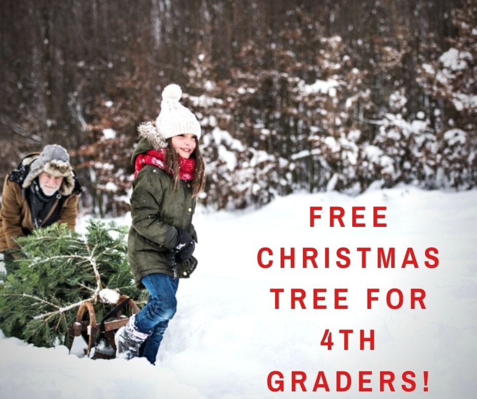 Free Christmas Tree for 4th Graders