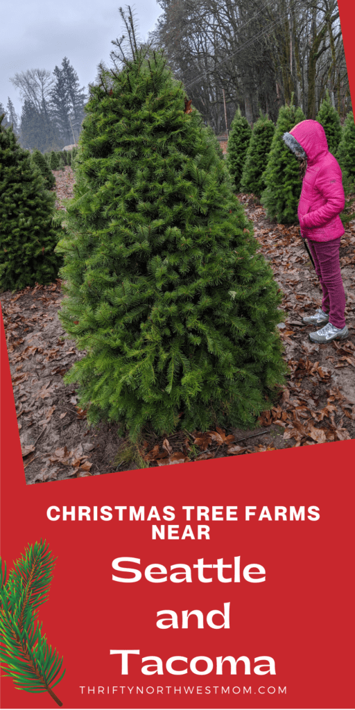 U Cut Christmas Tree Farms near Seattle & Puget Sound areas!
