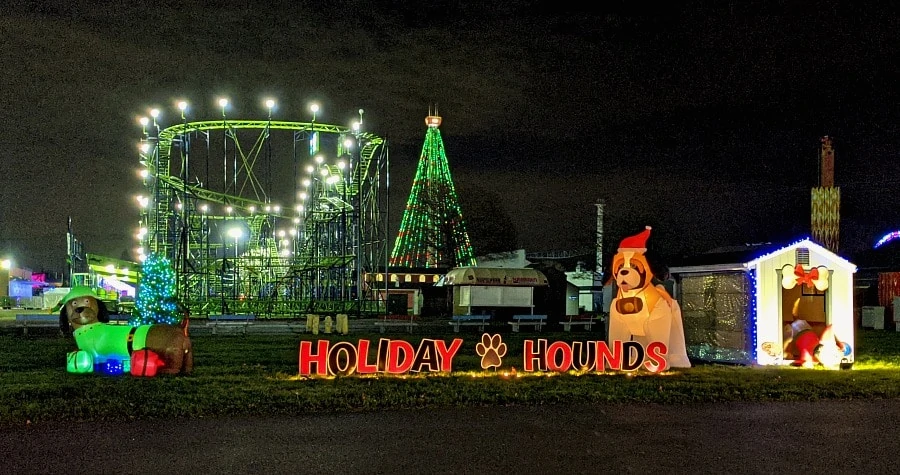 Holiday hounds at the fair