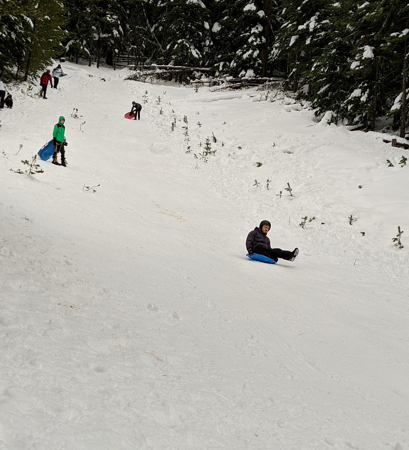 15+ Places to Go Sledding and Tubing in Oregon LaptrinhX / News