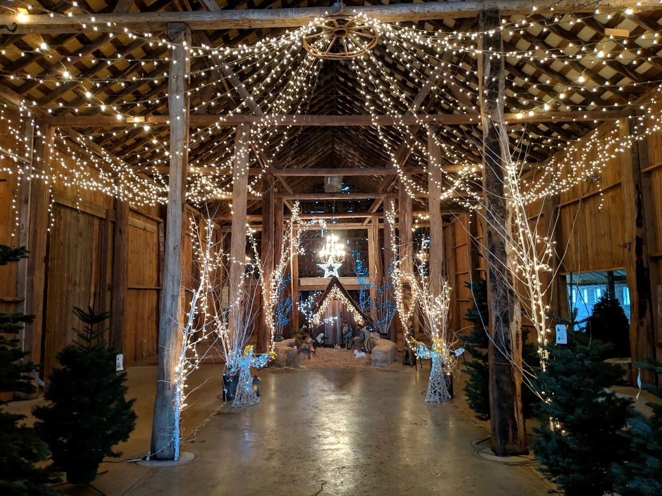 Nativity at Schilter Farms