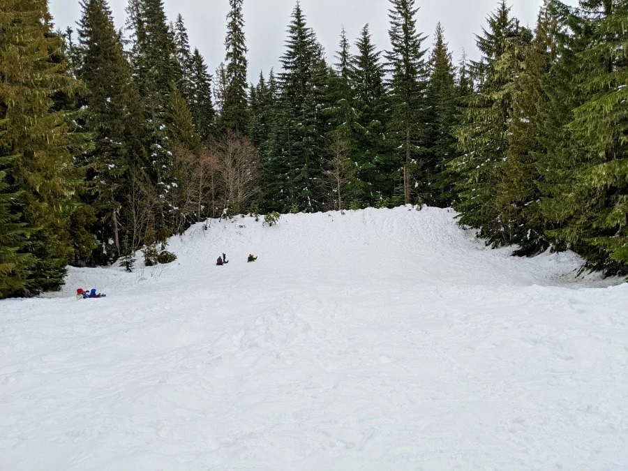 Snow Bunny Sledding Hill at Mt Hood 