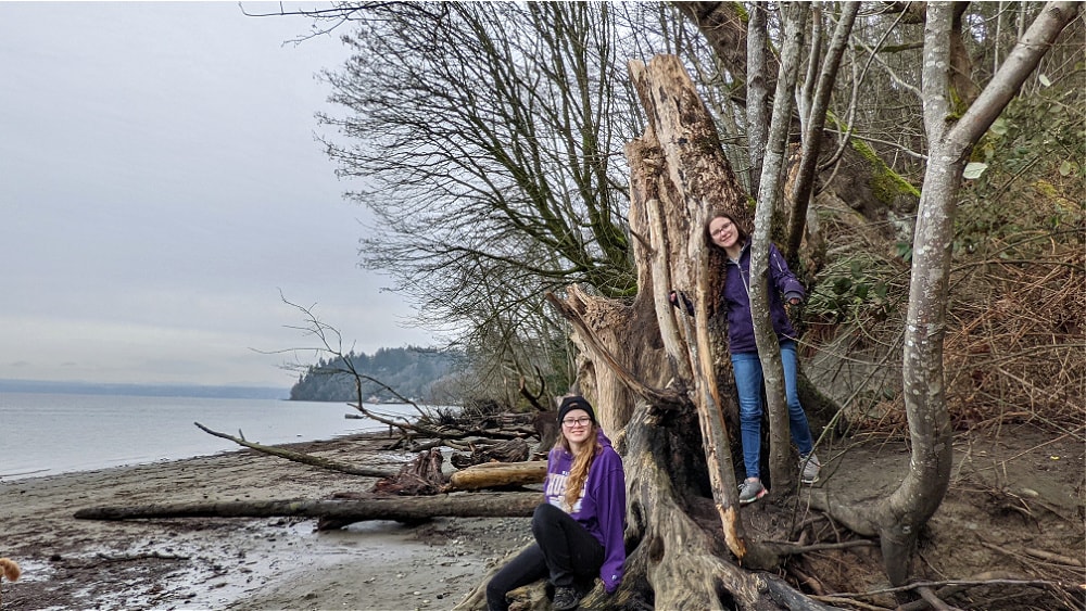 Dash Point Beach & Driftwood