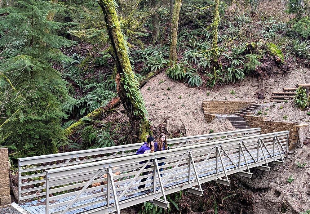 Dash Point New Bridge on Hiking Trail