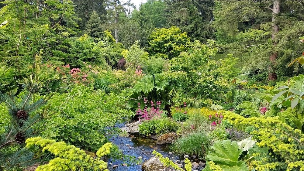 Powellswood Gardens Pond